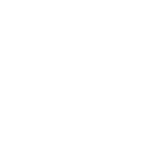 Legal guidance and representation